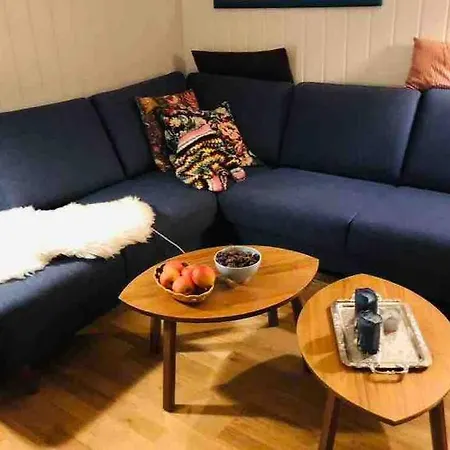 Lys Retro Sentralt I Apartament *